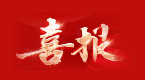 安徽国风木塑科技有限公司再获殊荣 ——中国轻工塑料行业(塑木...
